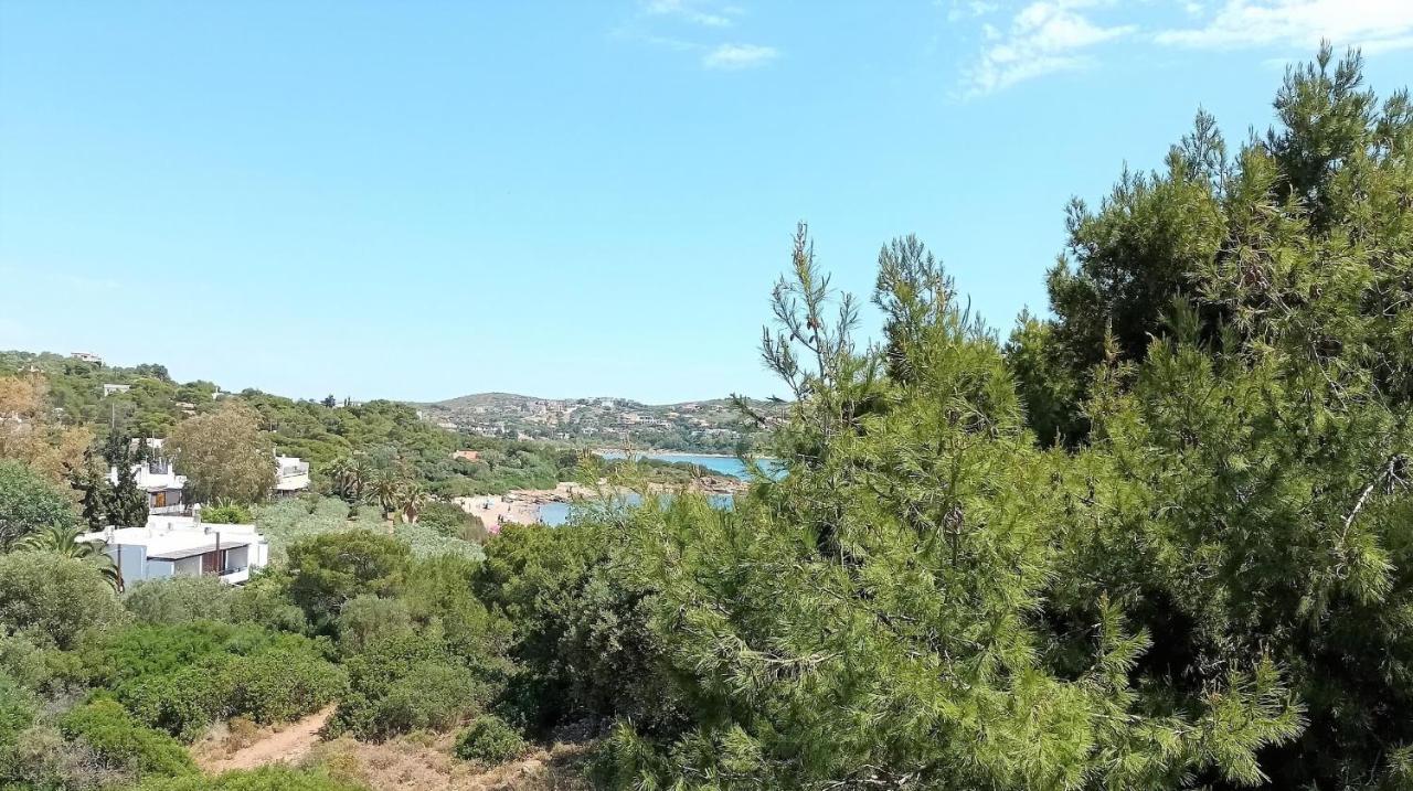 Villa Dea Del Mare Complex In Front Of The Sea. Kap Kap Sounion Exterior foto
